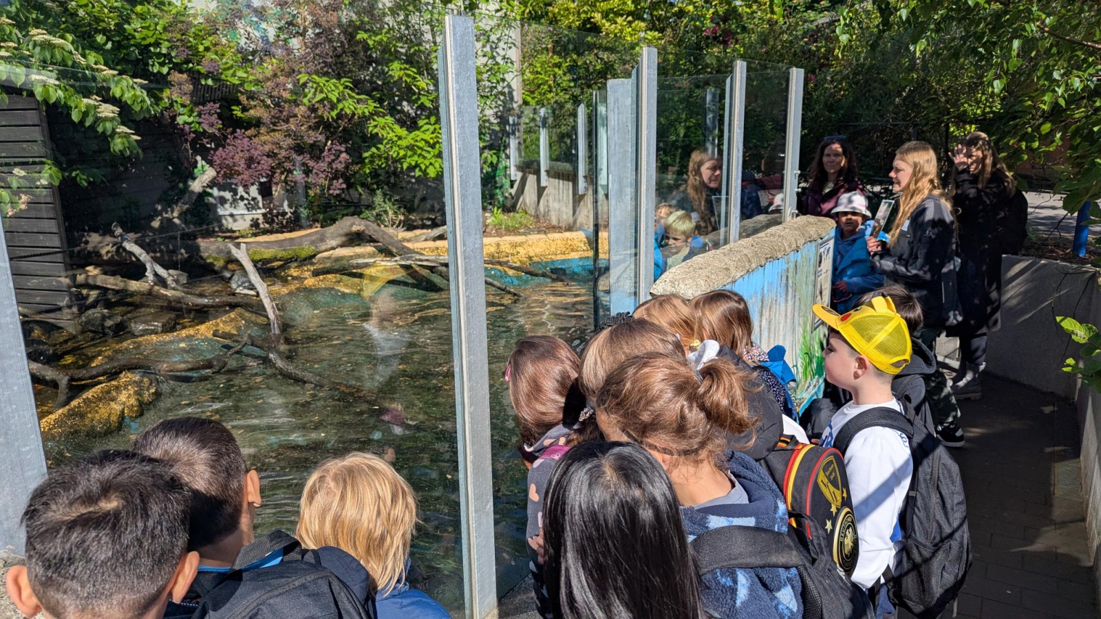 Zoo2.jpg